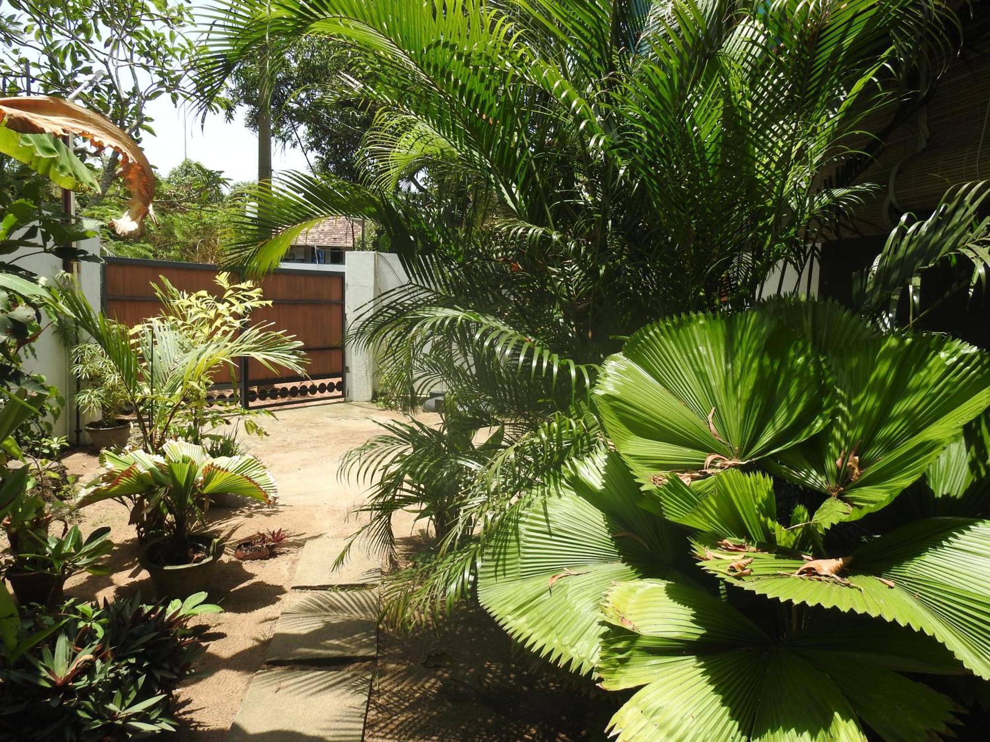 Alleppey Beach Garden Alappuzha Exterior photo